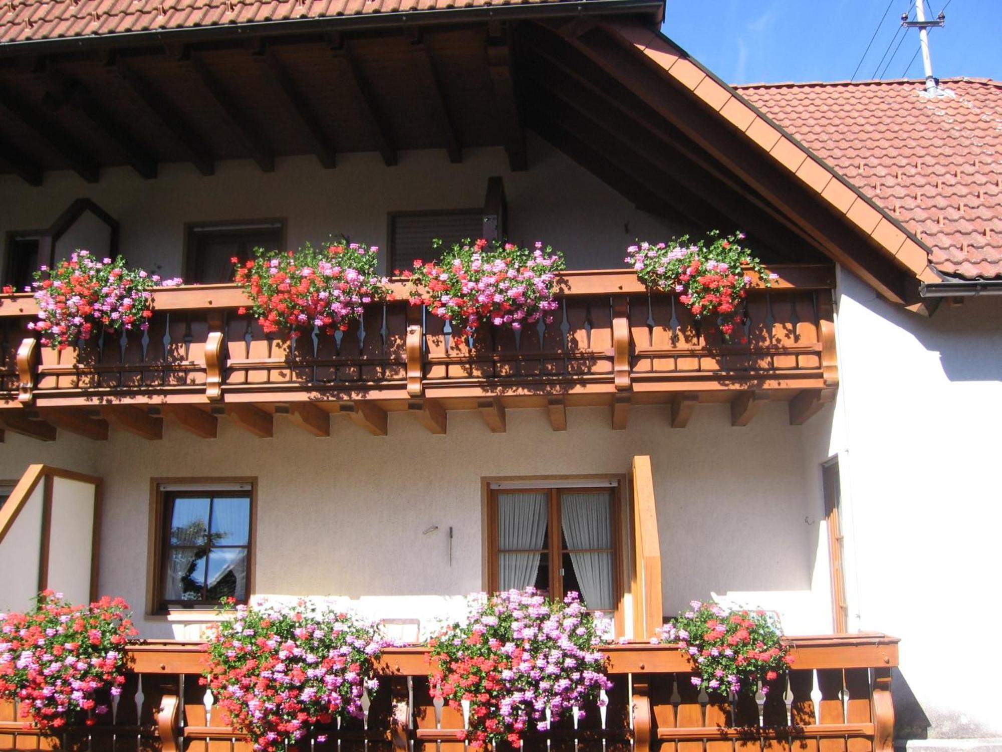 Hotel Gasthaus Zum Hirschen Simonswald Ngoại thất bức ảnh